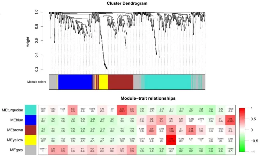 WGCNA for transcriptome data